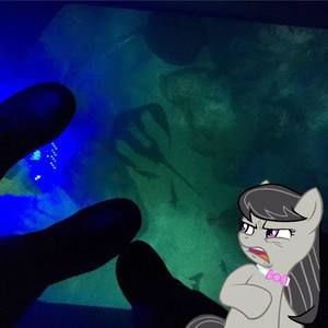 Meet your Posher, Crystal